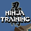 Ninja Training